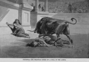 vaca que atacou perpetua