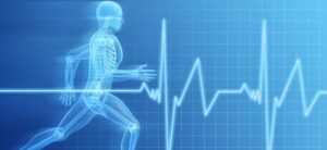 Movimento do Potencial Humano