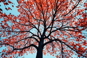 A Coragem de Ser Imperfeito