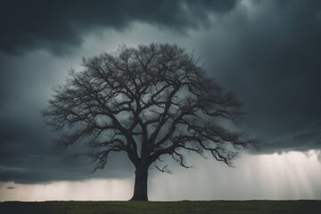 Resiliência emocional