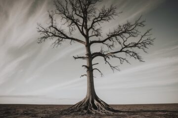 Resiliência é a capacidade de ser