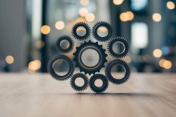 mindset organizacional